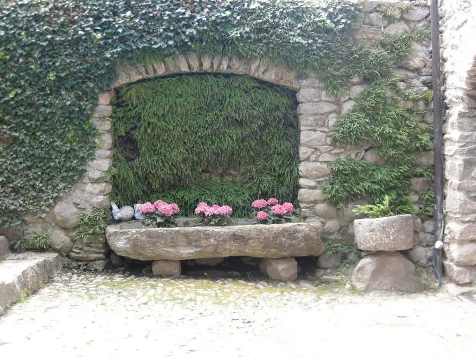 Com era con hortensias